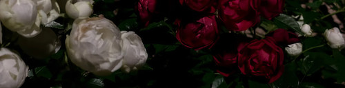 1000053720.jpg