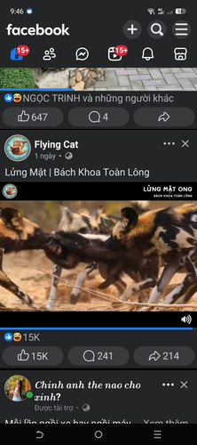 962bee99e91d.jpg