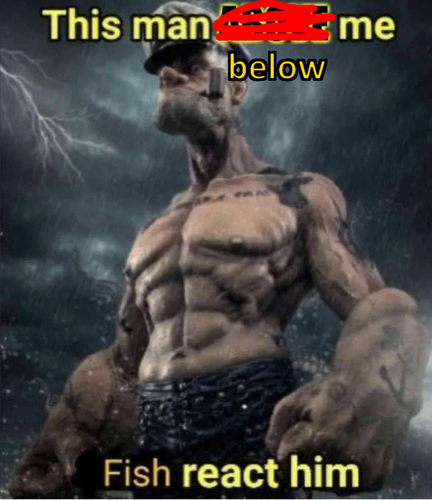 681c43a856a7.png