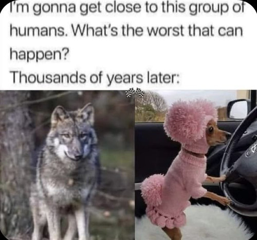 1000000424