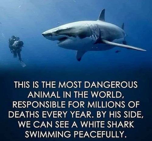 1000000425