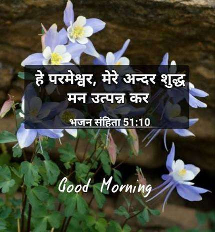 543c4d5a3315.1
