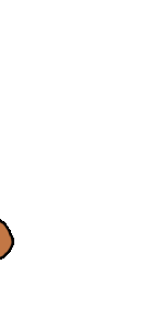 Juno Resize.3
