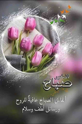05E7DE2C 55ED 4E95 B0CE 0779855BDEDB.1