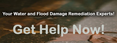 Water & Flood Damage Remediation Experts.1