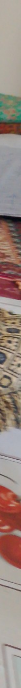 temp.png
