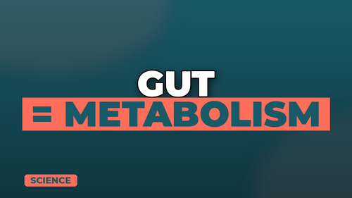 thumb gut health and metabolism connection landscape.png