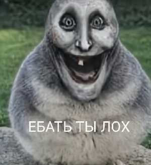 8adbe99eeb3d.jpg