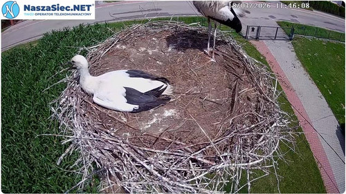 MWSnap308.jpg