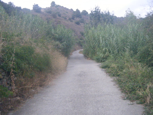 DSCF0005.jpg