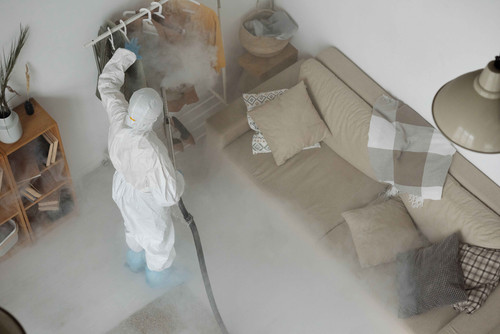 Nassau County Pest Control Clean | 100 Manhasset Ave, Port Washington, NY 11050, United States | +15.jpg