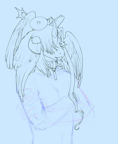 IMG 2734.png