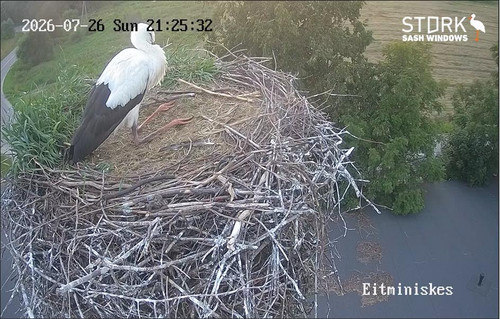 MWSnap906.jpg