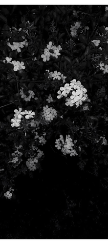 IMG 20260727 025610.png