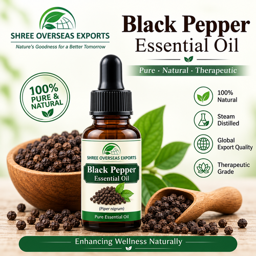 Organic Black Pepper Essential Oil Manufacturer – Premium Bulk Supply for Global B2B Buyers.png
