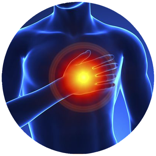 chest pain myocardial infarction heart cardiology cardiovascular disease disease bfafe421e61831044aa.png