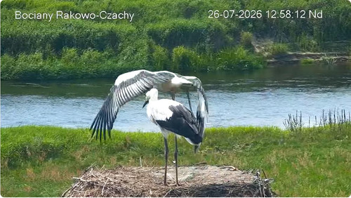 MWSnap897.jpg