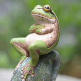 Frog Cross