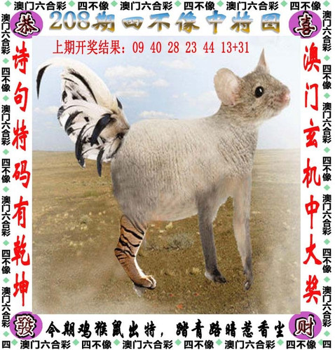amsbx.jpg