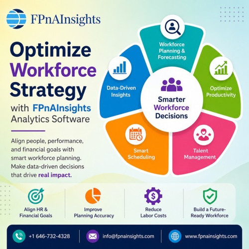 Optimize Workforce Strategy with FPnAInsights Analytics Software.jpg