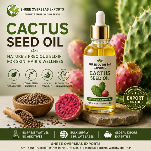 Private Label Cactus Seed Oil Manufacturer – Premium Bulk Solutions for Global B2B Buyers.png