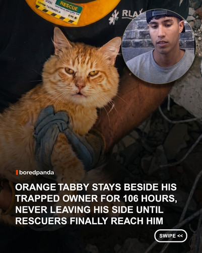 swipe to read.jpg