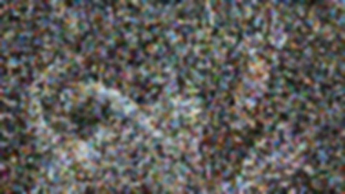 50.jpg