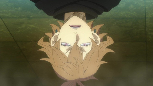 clover 28.jpg