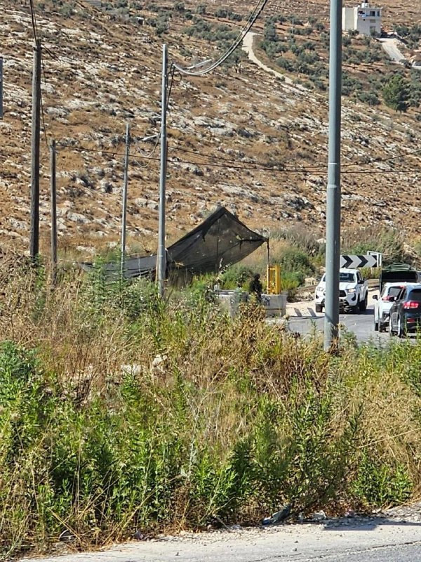 صورة الخبر