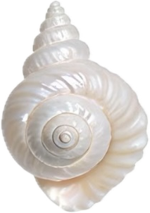 %E4%B8%BB%E9%A2%98%20(11).png
