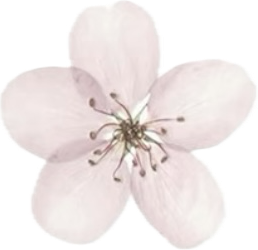 %E4%B8%BB%E9%A2%98%20(4).png