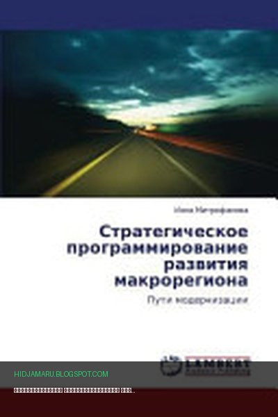 Обложка книги «Стратегическое программирование развития макрорегиона» - Инна Митрофанова