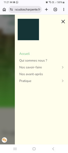 Screenshot 20260724 112135 Chrome (2)