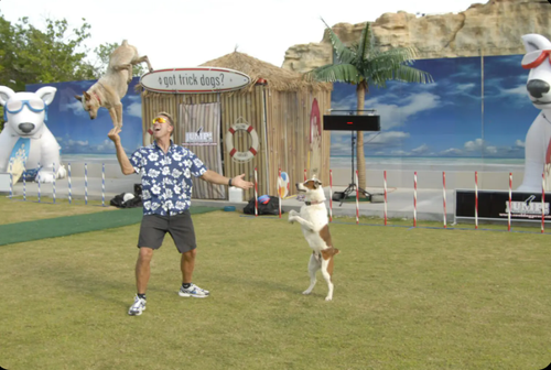 Book Canine Talent Agency Las Vegas.png