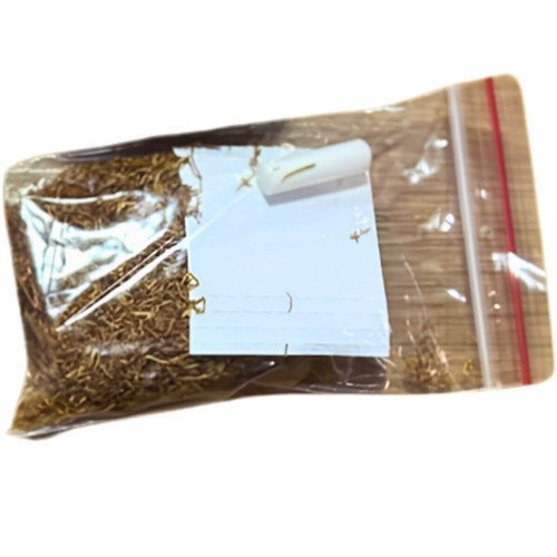 Kit Case Slum (3) (1).jpg