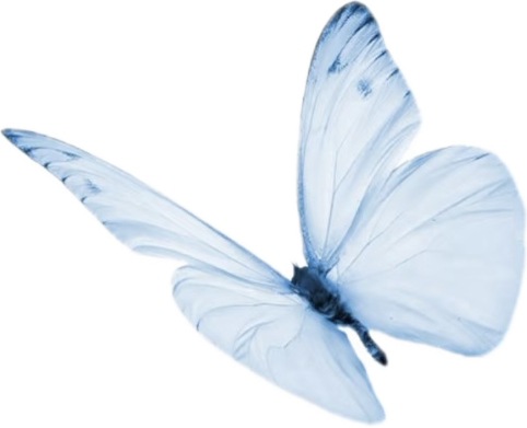 %E4%B8%BB%E9%A2%98%20(21).png