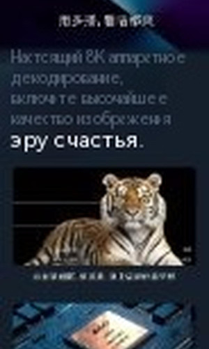 翻译后详情图0 11.jpg