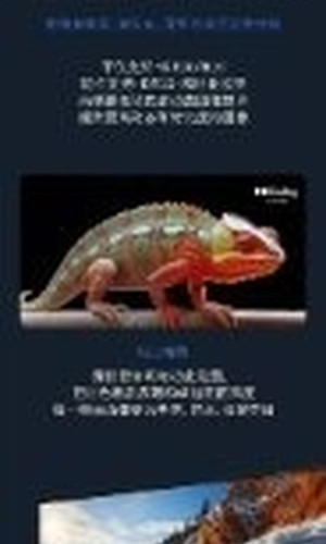 翻译后详情图0 13.jpg