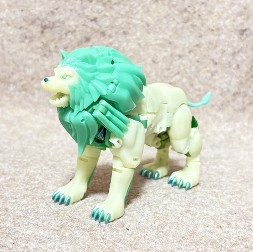 y02 (4).jpg