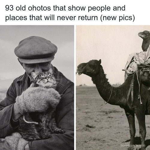 dragon utopia interesting historical posts.jpg