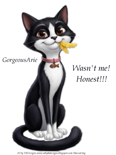 Gorgeous Arie.gif