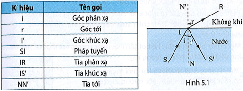 bai 5 3 trang 15 sbt khtn 9.png