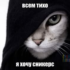 9e7f68b9f09d91e22e8b28ef8eb10370.jpg