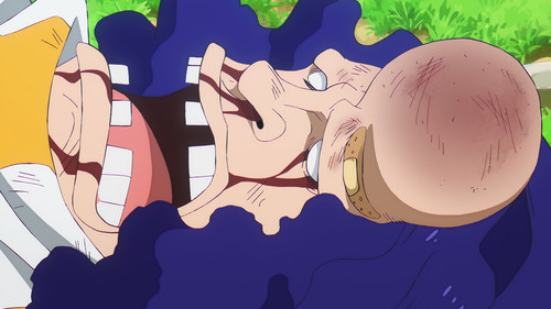 [SubsPlease] One Piece 1171 (1080p) [08CA0446].mkv snapshot 10.20.621