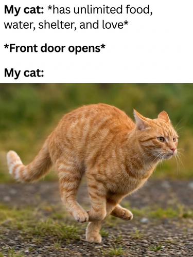 download 2026 07 08T162410.130.png