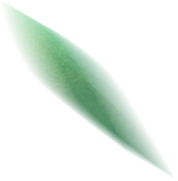 竹叶2.png