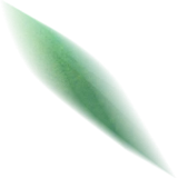 竹叶2
