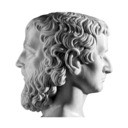 janus 1 (1).jpg