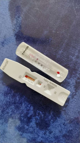fa6d333b3cb5.jpg
