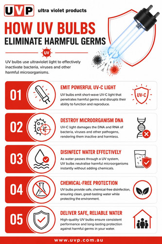 How UV Bulbs Eliminate Harmful Germs.jpg